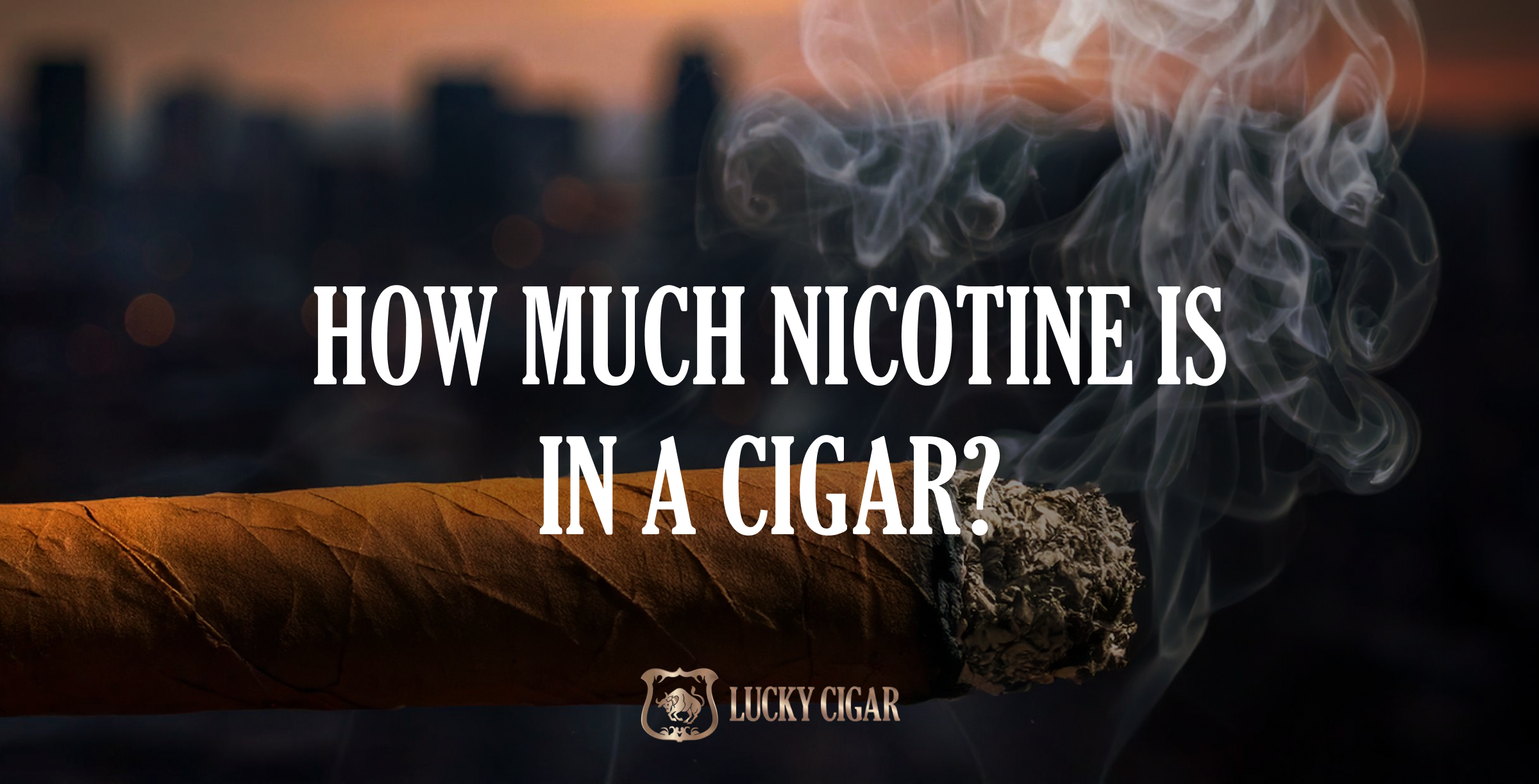 How Much Nicotine is in a Cigar | LuckyCigar.com Lucky Cigar How Much Nicotine is in a Cigar | LuckyCigar.com Lucky Cigar
