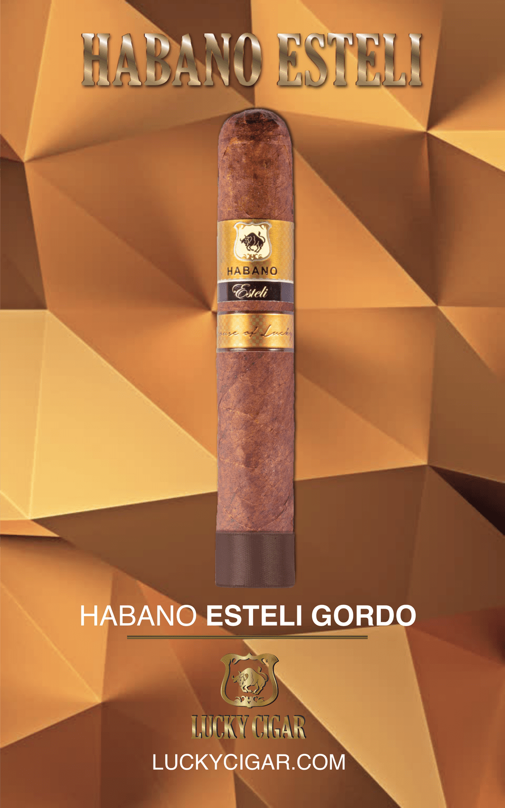 Habano Cigars: Habano Esteli by Lucky Cigar: Esteli Gordo 6x60 Single Cigar