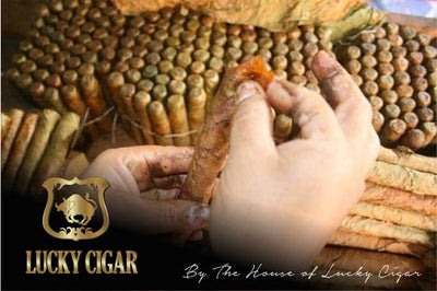 Habano Cigars: Habano Esteli by Lucky Cigar: Robusto 5x50 Single Cigar