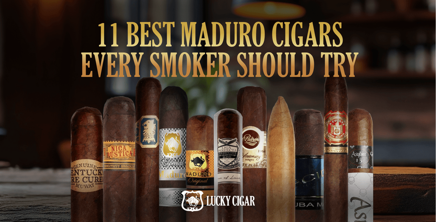 11 Best Maduro Cigars Every Smoker Should Try