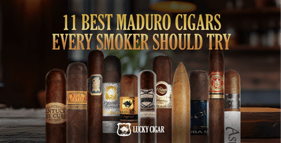 11 Best Maduro Cigars Every Smoker Should Try