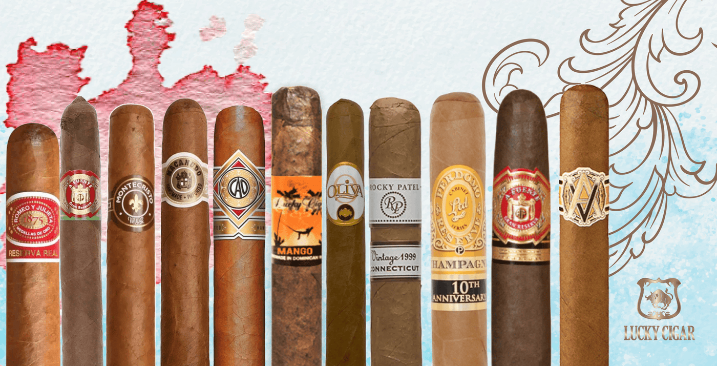 best place to buy cigarettes near me TOP 10 BEST Cheap Cigarettes in Washington, DC - Updated 2026 best place to buy cigarettes near me TOP 10 BEST Cheap Cigarettes in Washington, DC - Updated 2026
