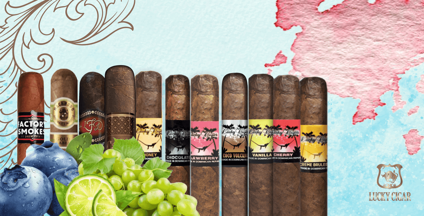 Best Cigars of 2024 | Cigar Aficionado Best tasting cigars