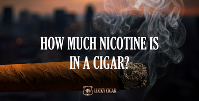 How Much Nicotine is in a Cigar