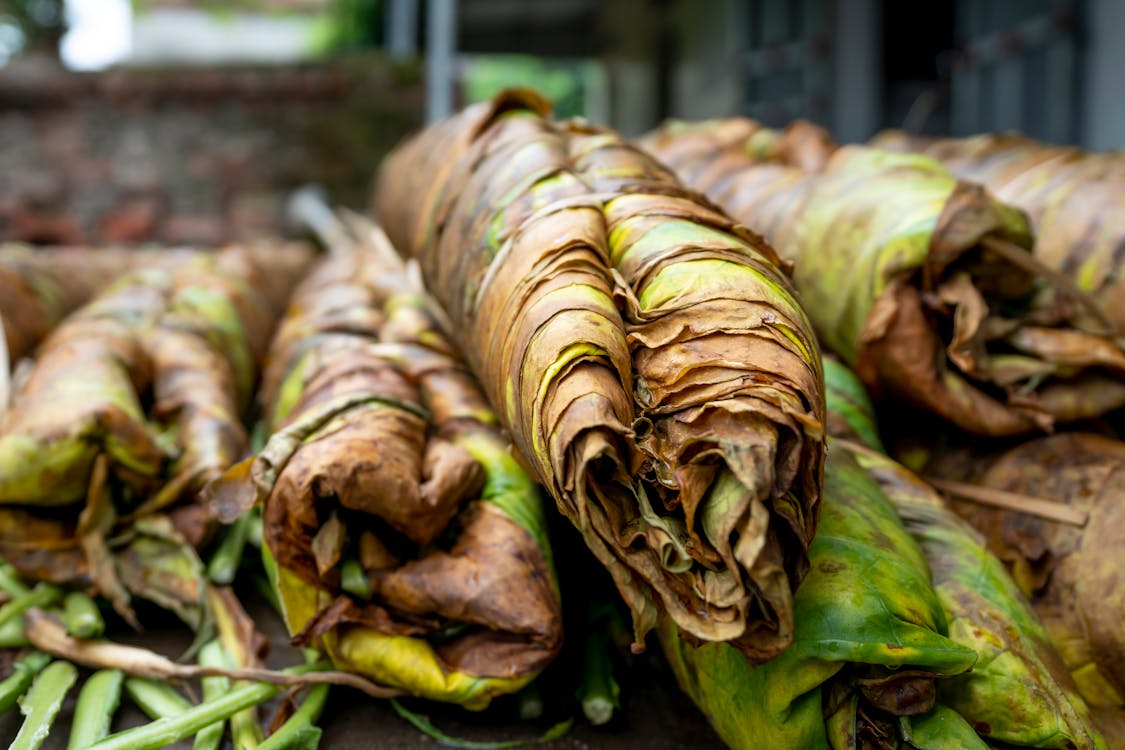 Naturally Sweet Cigars: A Guide to Flavorful Picks for Every Palate