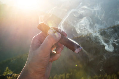 How to Smoke a Cigar: A Beginner’s Guide