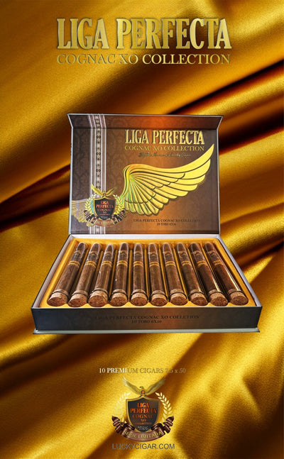 Infused Cigars: Liga Perfecta COGNAC Toro 6x50 Box of 10 Glass Tubes