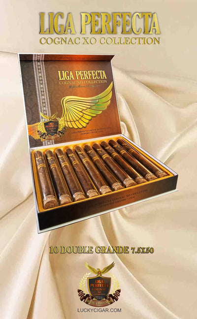 Infused Cigars: Liga Perfecta COGNAC Toro 6x50 Box of 10 Glass Tubes