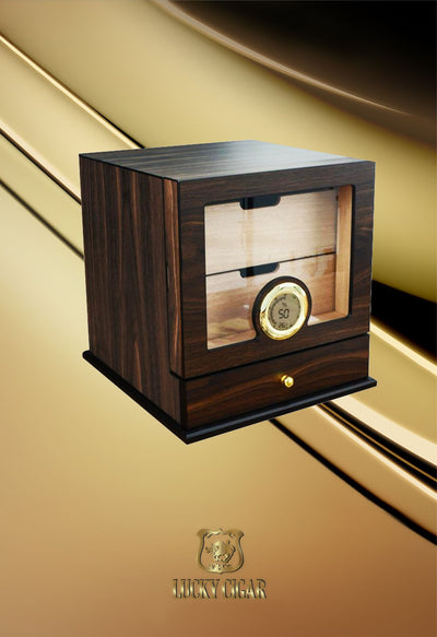 Lucky Outside The Box Humidor