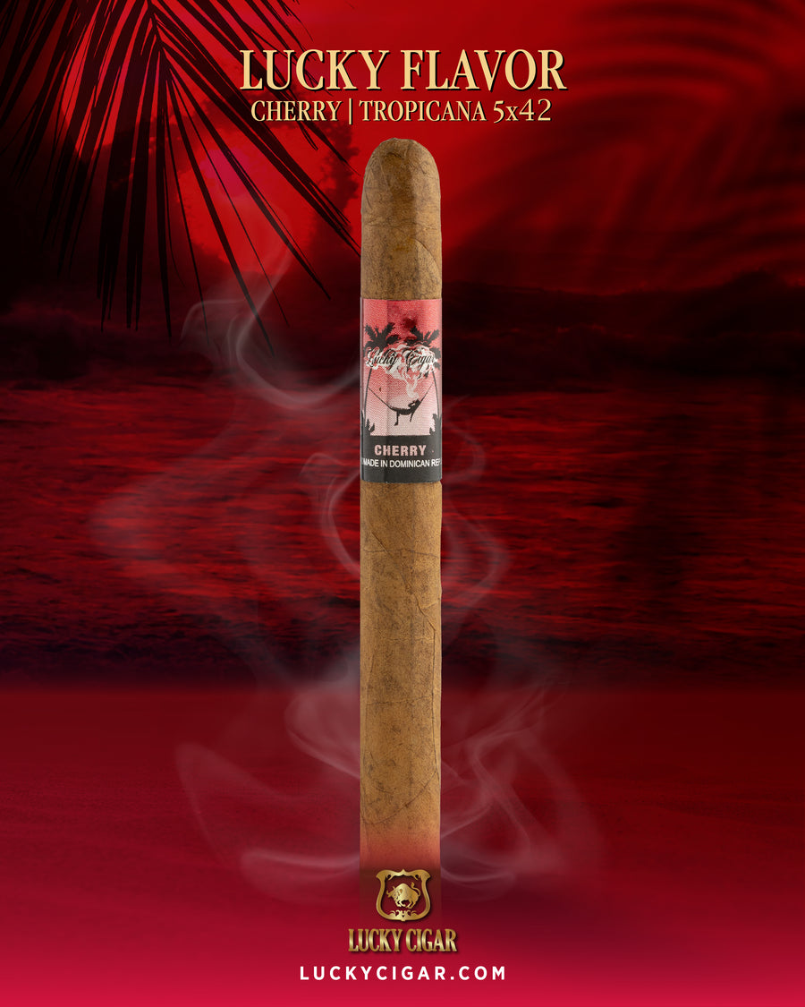 Flavored Cigars: Cherry 5x42 Single Cigar