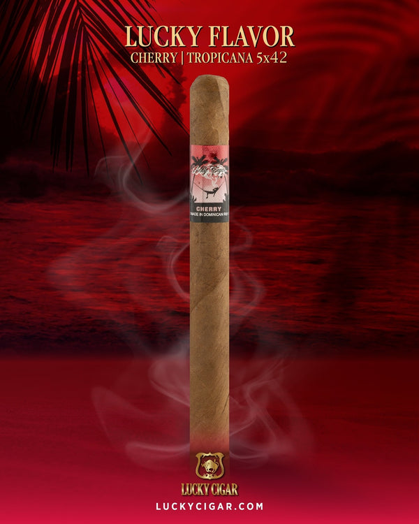Flavored Cigars: Cherry Tropicana 5x42 Single Cigar