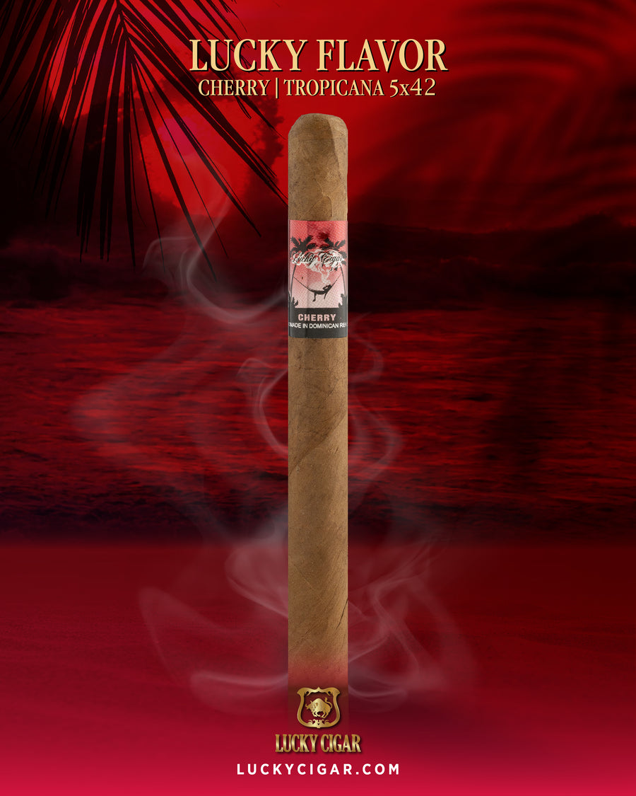 Flavored Cigars: Cherry 5x42 Single Cigar
