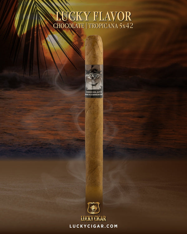 Flavored Cigars: Lucky Flavors Chocolate Tropicana 5x42 Cigar