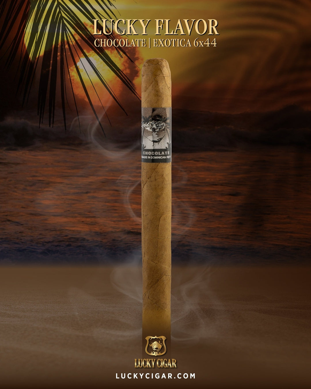tobacco flavored chocolate Backwoods Cigars | 8 Packs of 5 Show Blunt Cone Chocolate -