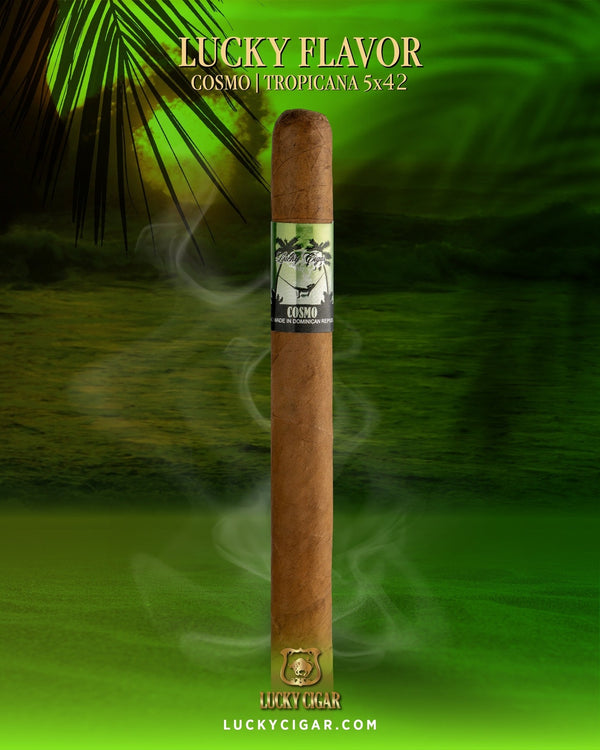 Flavored Cigars: Lucky Flavors Cosmo Tropicana 5x42 Cigar