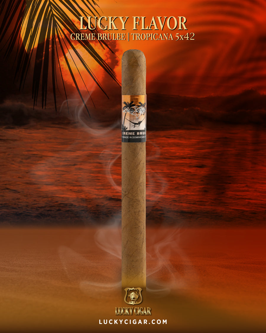 Flavored Cigars: Lucky Flavors Creme Brulee 5x42 Cigar