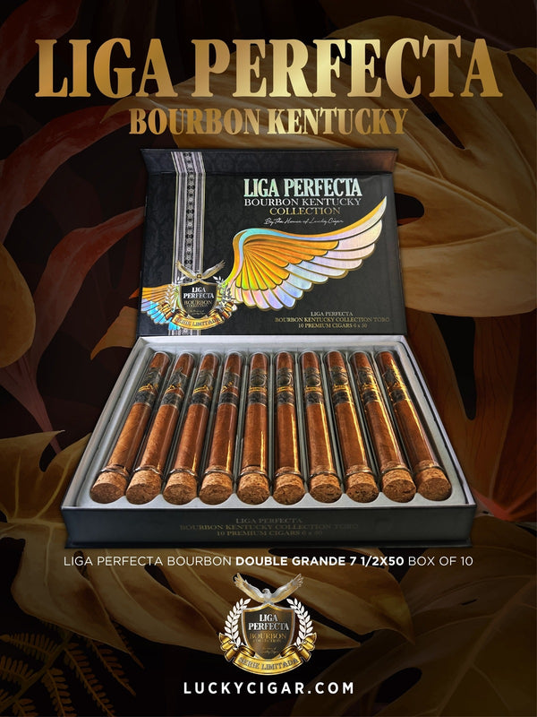 Infused Cigars: Liga Perfecta Kentucky Bourbon Double Grande 7.5x50 Box of 10