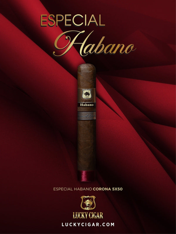 Habano Cigars: Especial Habano by Lucky Cigar: Corona 5x50 Single Cigar