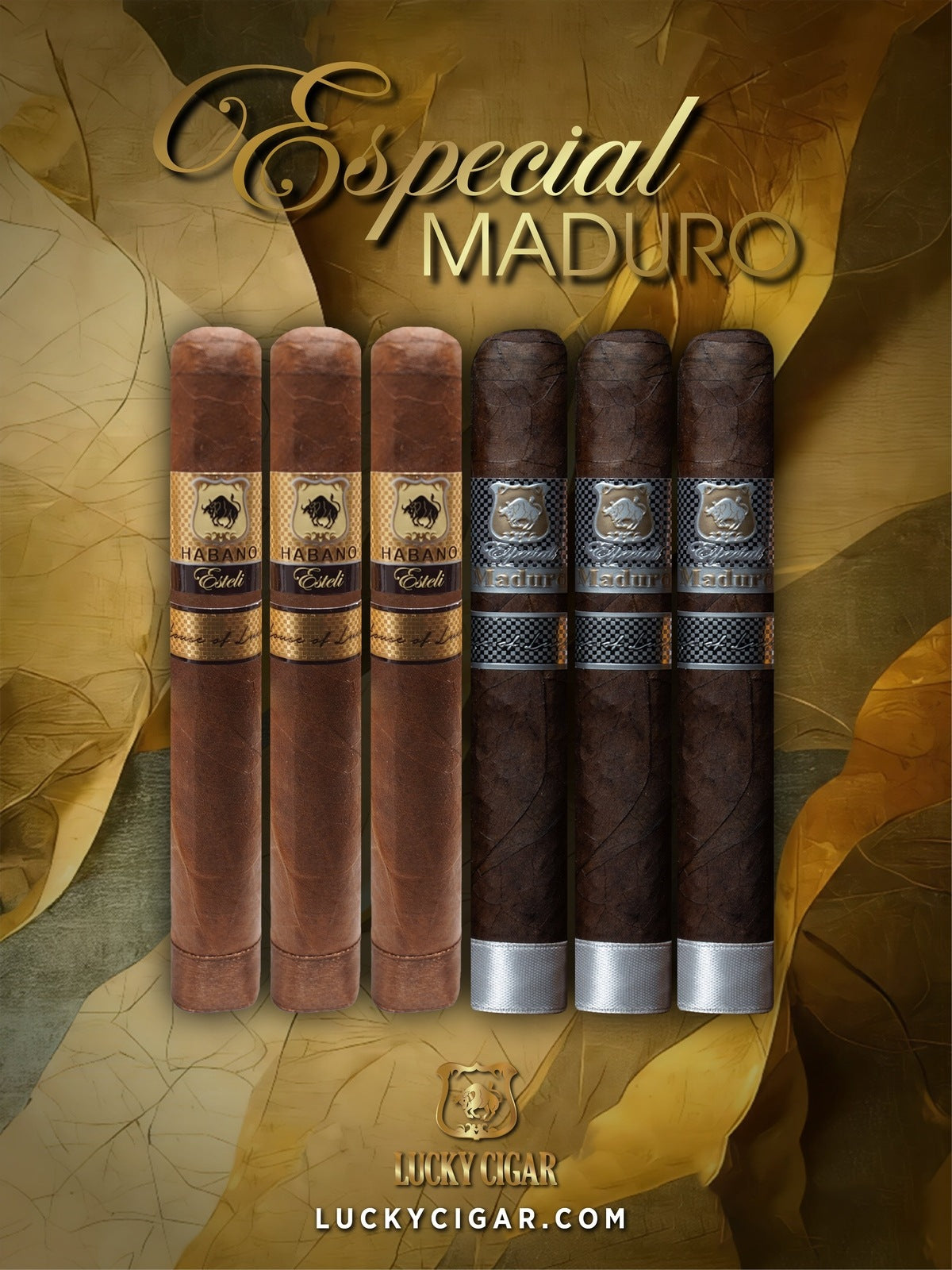 Maduro Cigars: Especial Maduro by Lucky Cigar: Set of 6, 3 Habano Toro, 3 Maduro Toro Cigars