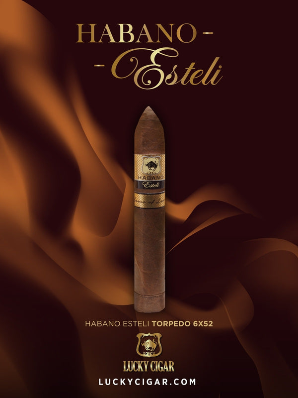 Habano Cigars: Habano Esteli by Lucky Cigar: Esteli Gordo 6x60 Single Cigar