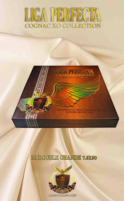 Infused Cigars: Liga Perfecta COGNAC Toro 6x50 Box of 10 Glass Tubes