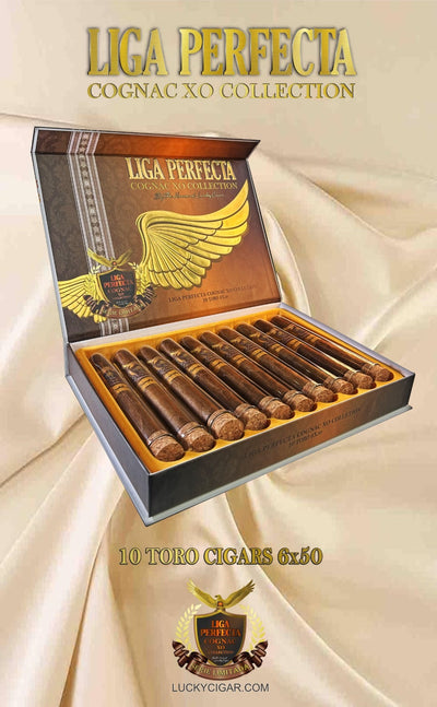 Infused Cigars: Liga Perfecta COGNAC Toro 6x50 Box of 10 Glass Tubes