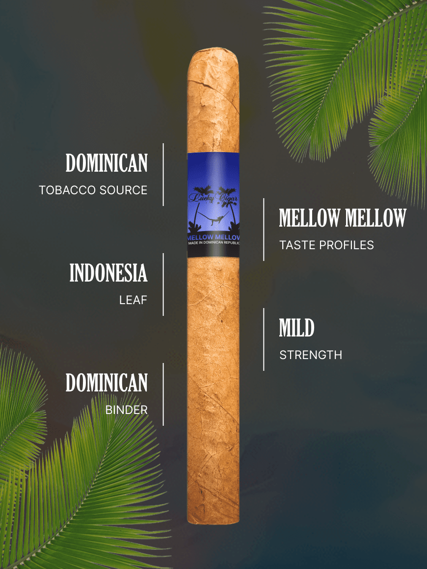 tobacco in your mouth What Is Smokeless Tobacco?
