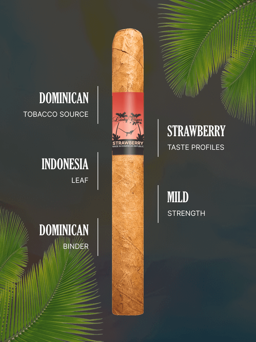 delhi duty free tobacco Special Report: Inside the travel retail Tobacco sector