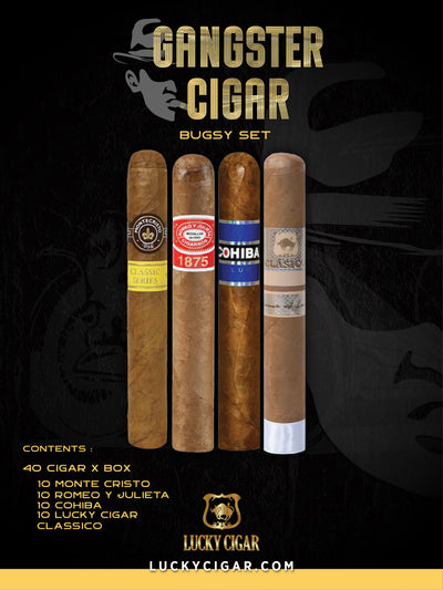 Gangster Cigars By Lucky Cigar: Bugsy Set of 40 Cigars