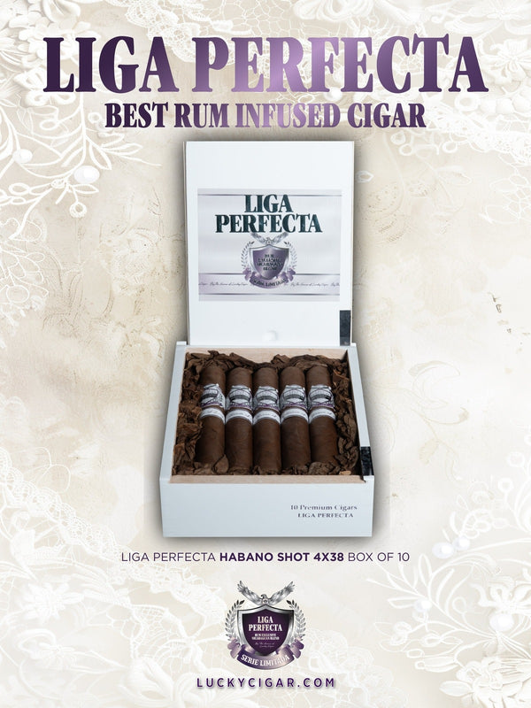 Infused Cigars: Liga Perfecta Rum Habano Shot 4x38 Box of 20