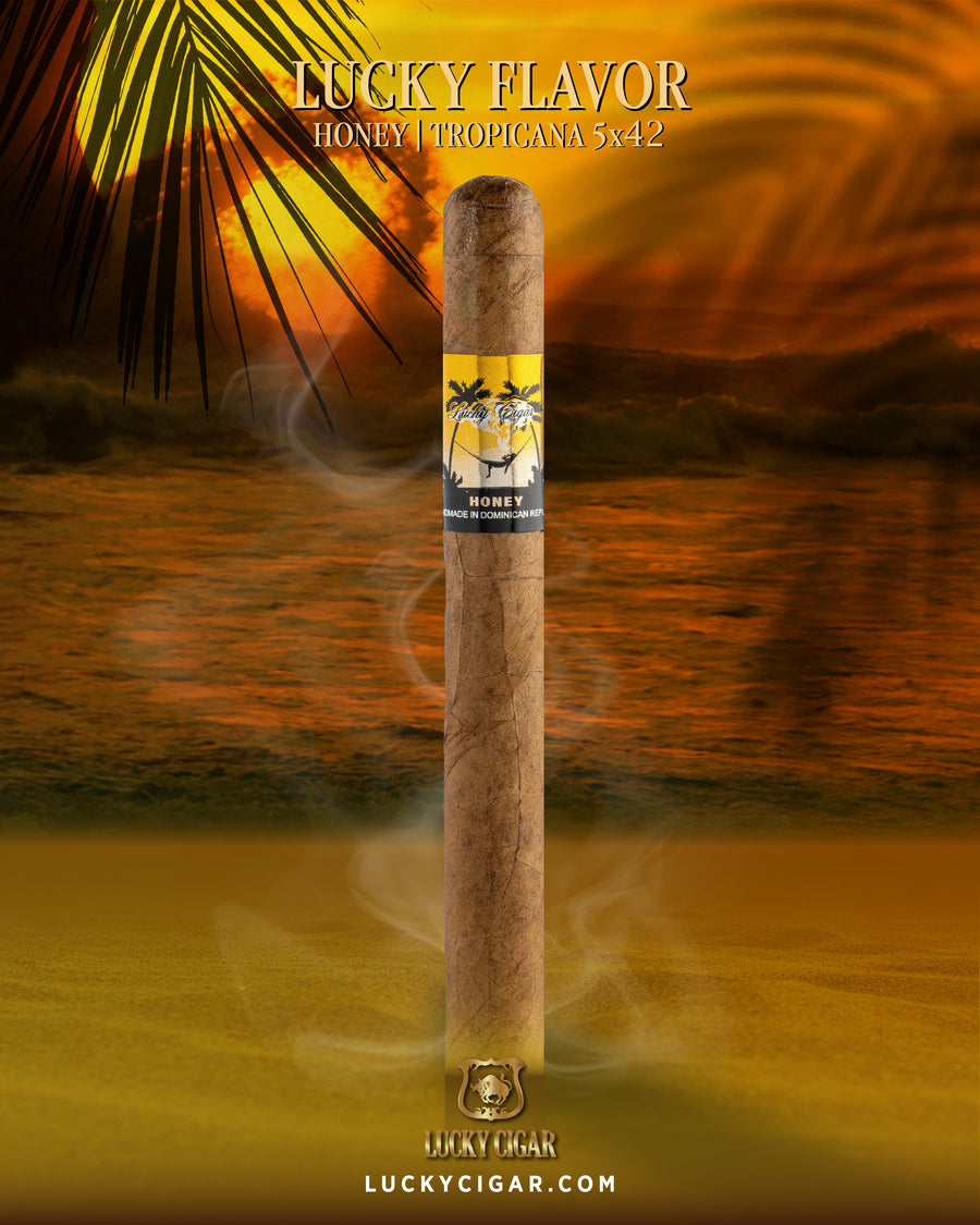 Flavored Cigars: Lucky Flavors Honey 5x42 Cigar