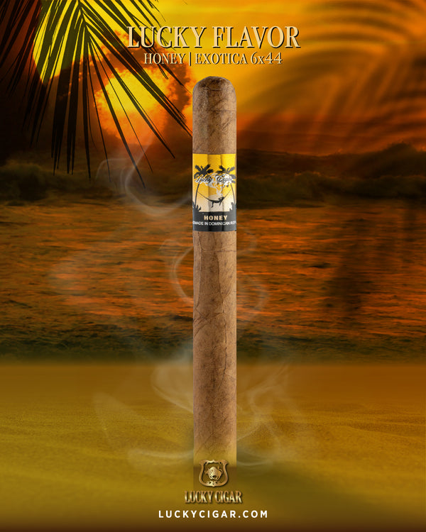 Flavored Cigars: Lucky Flavors Honey 6x44 Cigar
