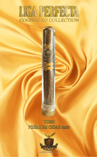 Infused Cigars: Liga Perfecta COGNAC Toro 6x50 Glass Tubes Single Cigar