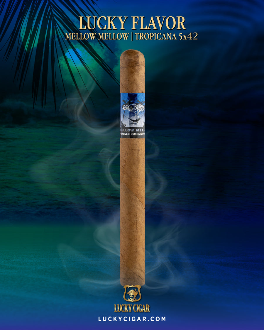 Flavored Cigars: Lucky Flavors Mellow Mellow 5x42 Cigar