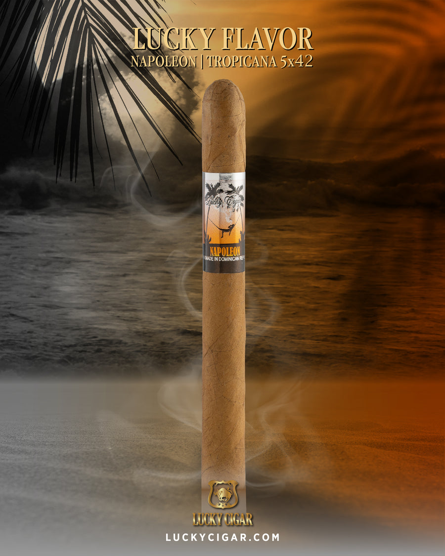 Flavored Cigars: Lucky Flavors Napoleon 5x42 Cigar