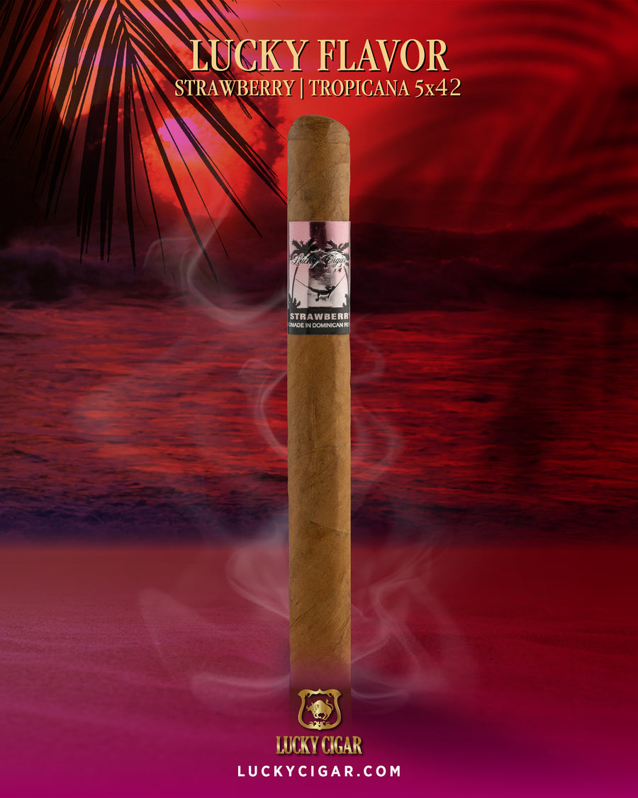 Flavored Cigars: Lucky Flavors Strawberry 5x42 Single Cigar