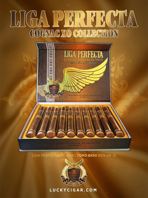 Infused Cigars: Liga Perfecta COGNAC Toro 6x50 Box of 10 Glass Tubes