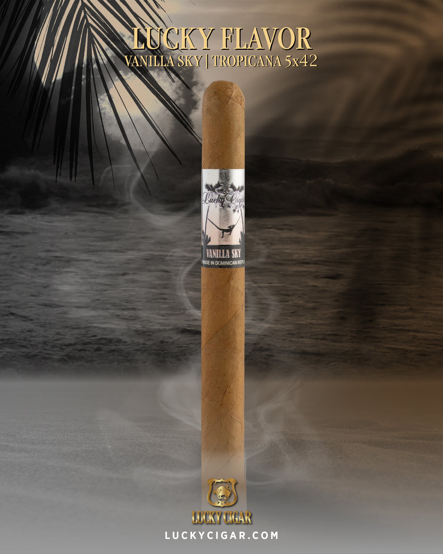 Flavored Cigars: Lucky Flavors Vanilla Sky 5x42 Cigar