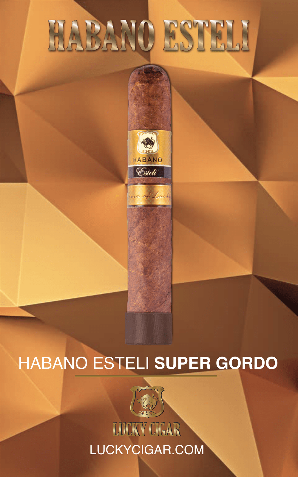 Habano Cigars: Habano Esteli by Lucky Cigar: Super Gordo 6x64 Single Cigar