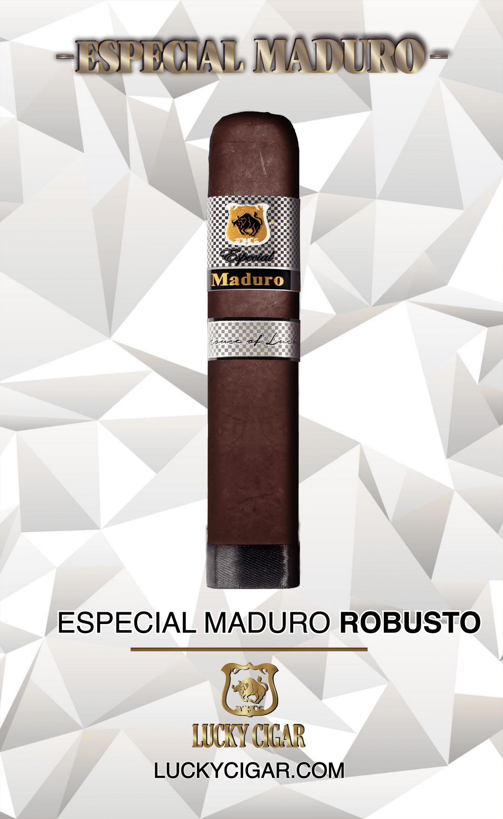 Maduro Cigars: Especial Maduro by Lucky Cigar: Robusto 5X50 Single Cigar