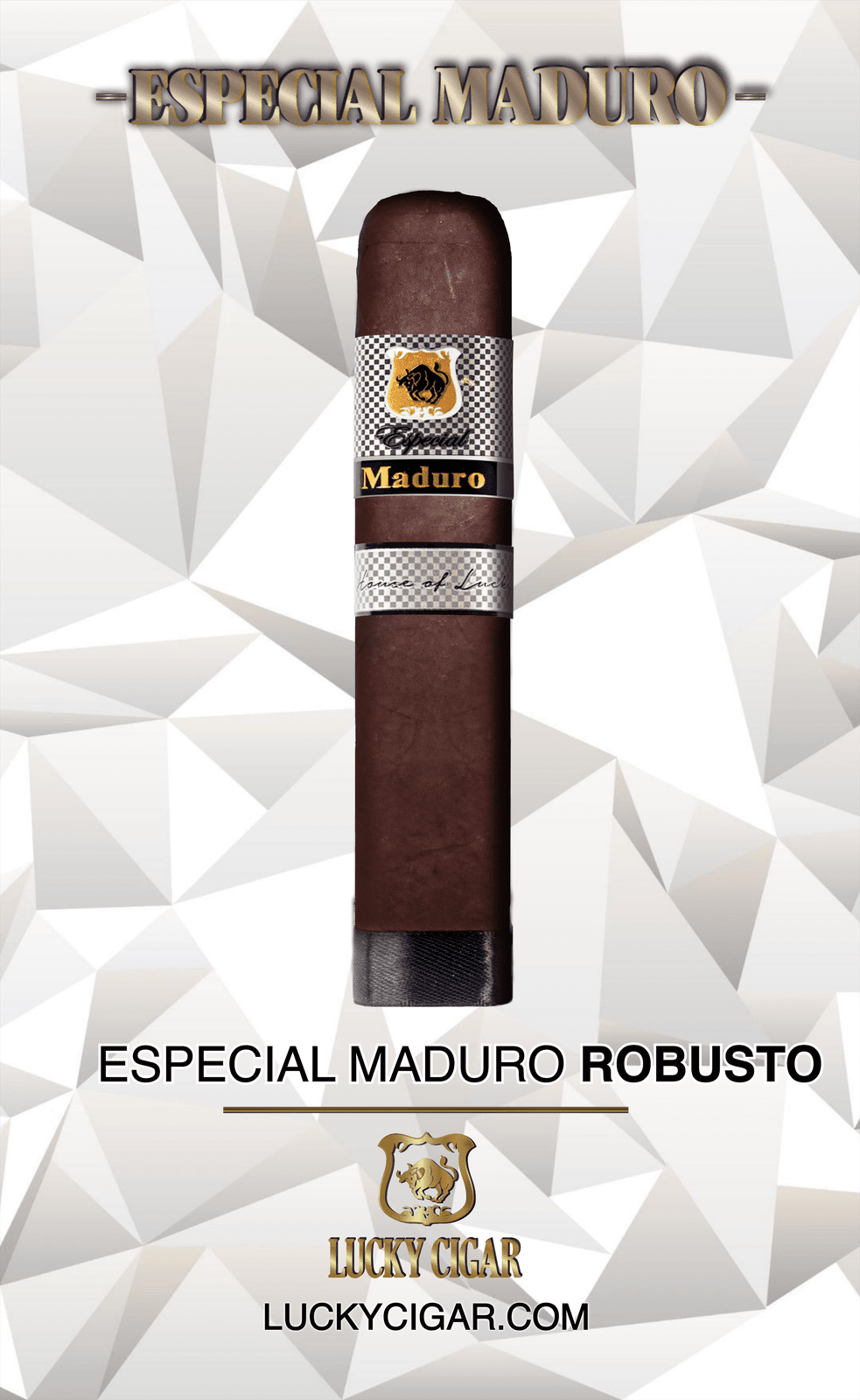 Maduro Cigars: Especial Maduro Robusto 5X50 Single Cigar