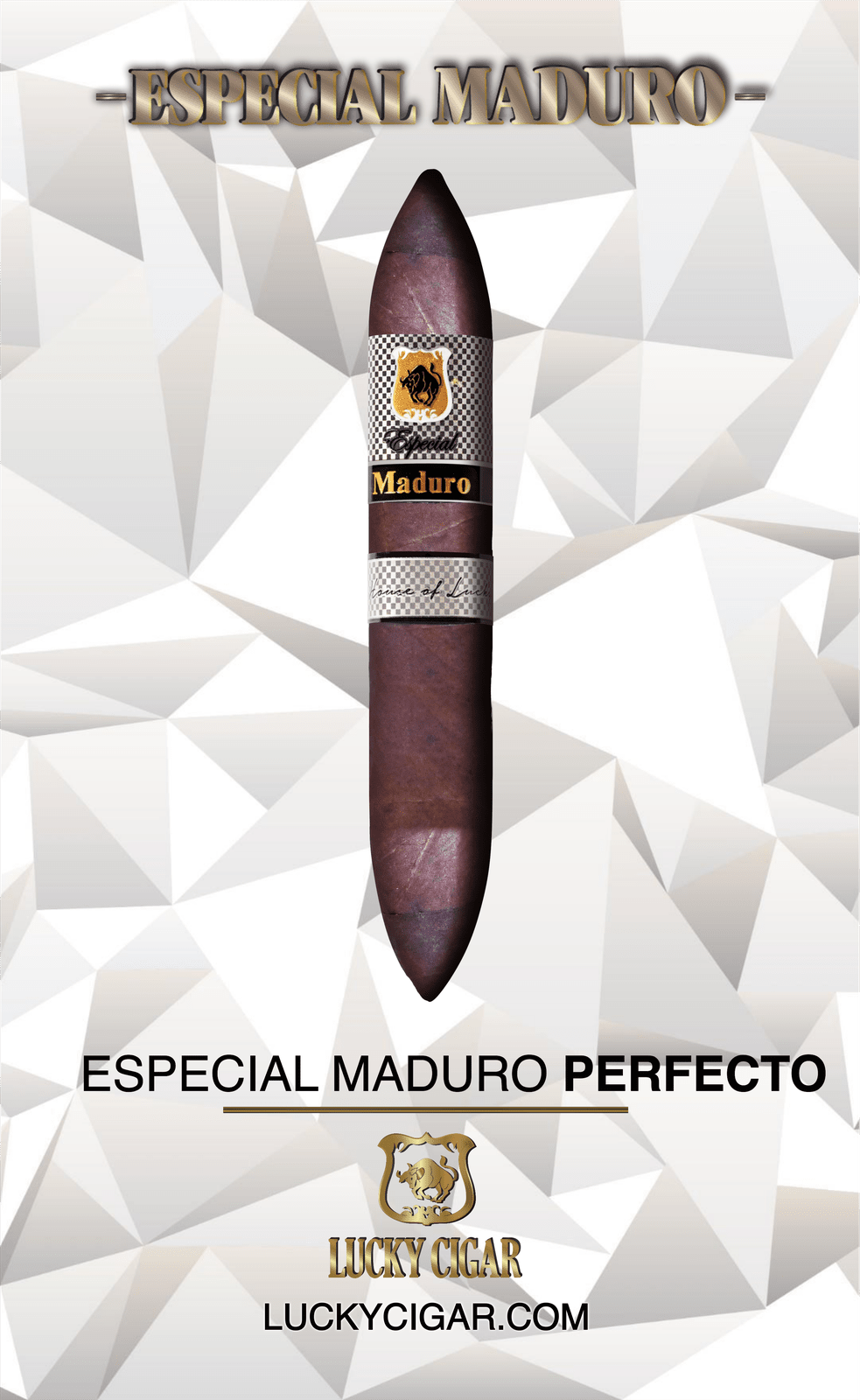 Maduro Cigars: Especial Maduro Perfecto 6x52 Single Cigar