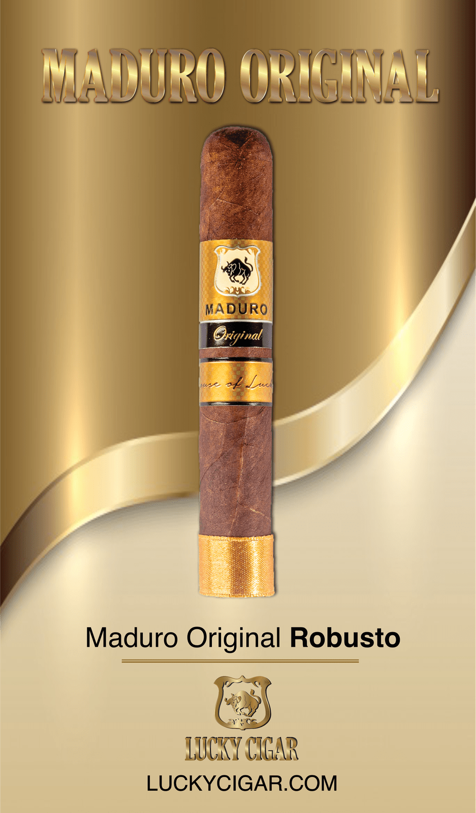 Maduro Cigars: Maduro Original Robusto 5x50 Single Cigar
