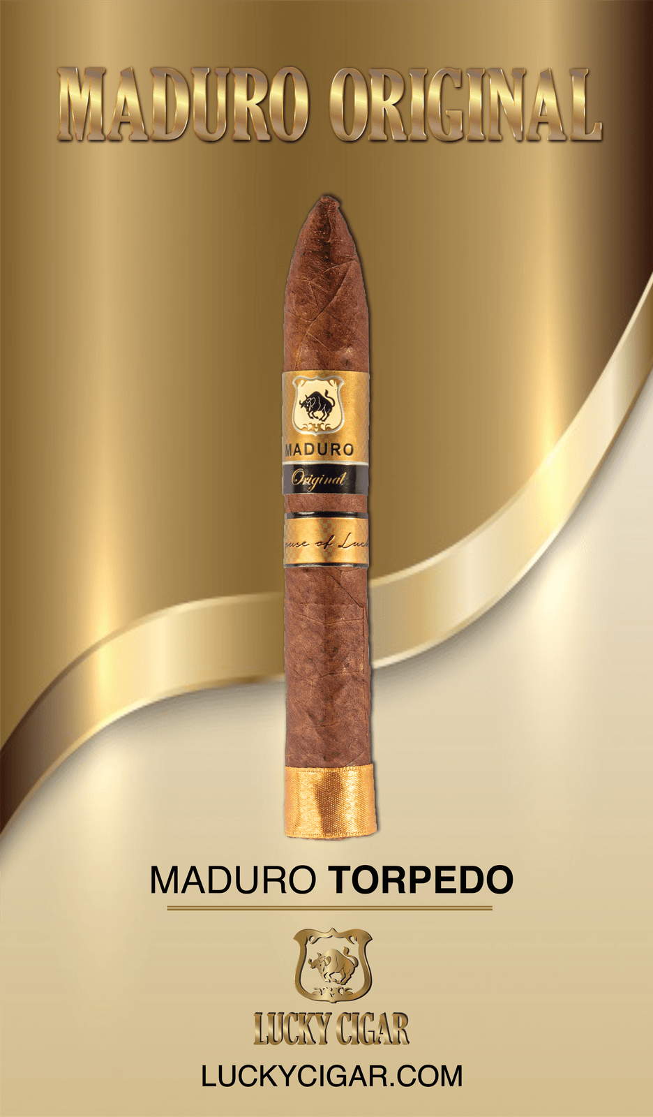 Maduro Cigars: Maduro Original Torpedo 6x52 Single Cigar