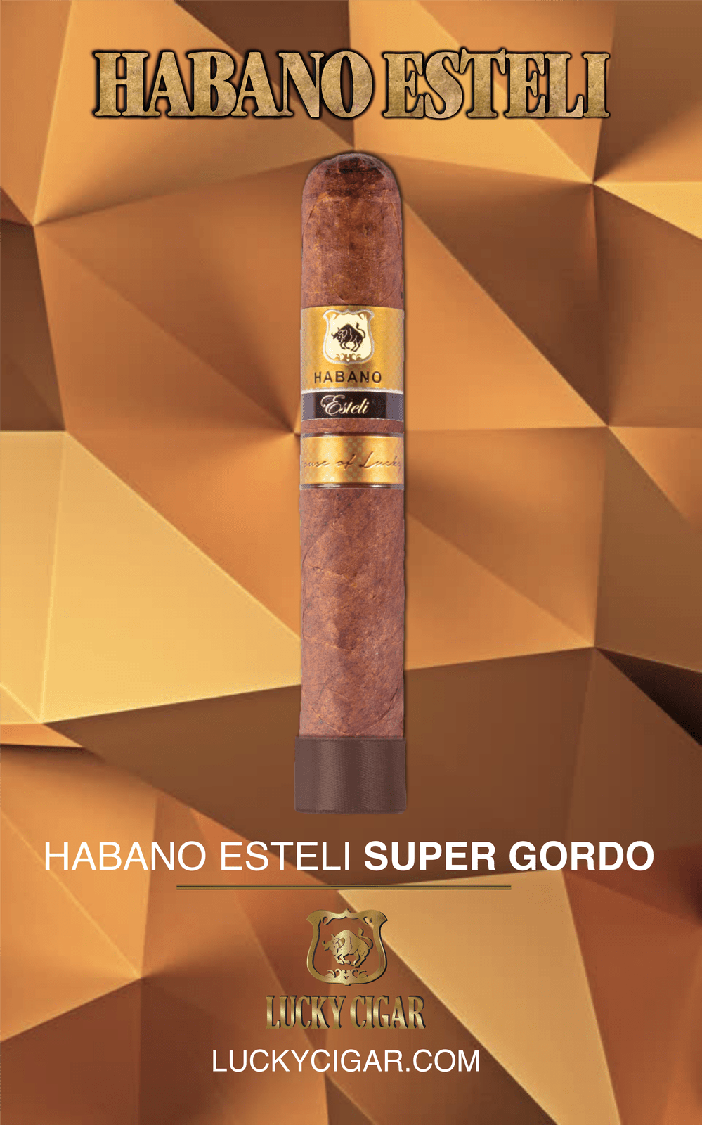 Habano Cigars: Habano Esteli Super Gordo 6x64 Single Cigar
