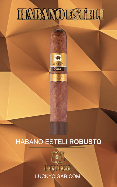 Habano Cigars: Habano Esteli by Lucky Cigar: Robusto 5x50 Single Cigar