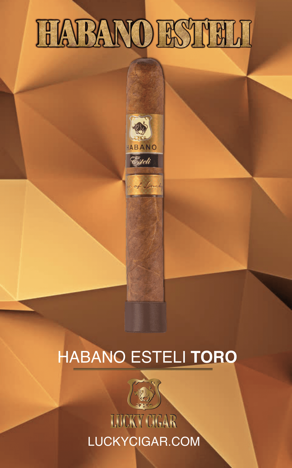 Habano Cigars: Habano Esteli by Lucky Cigar: Toro 6x50 Single Cigar