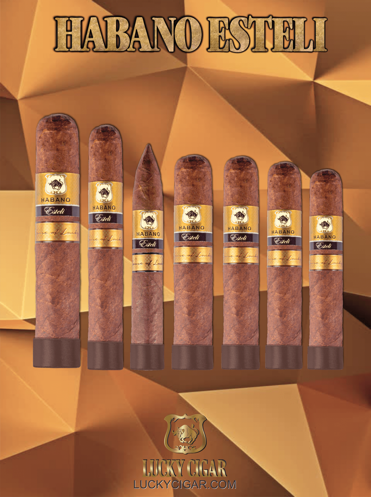 Lucky Cigar Sampler Sets: Set of 7 Habano Esteli Cigars, Robusto, Toro, Torpedo, Gordo, Super Gordo, Rotchilde, Churchill