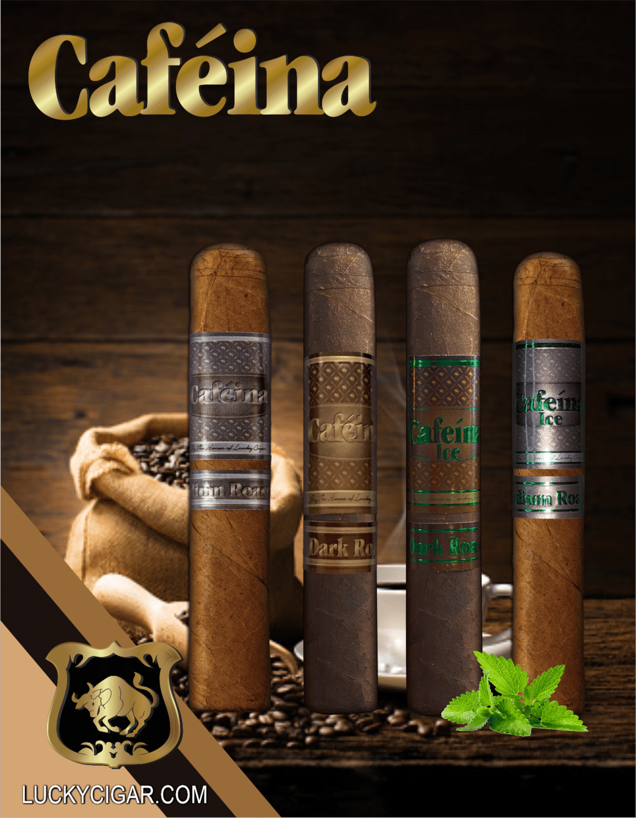 Cafeina Magnum Set Includes