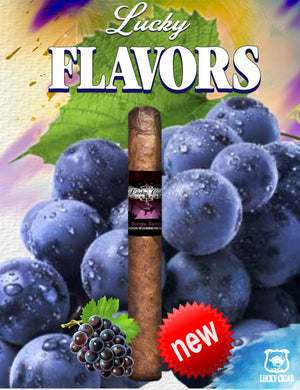 Flavored Cigars: Lucky Flavors Boogie Samba 5x42 Cigar